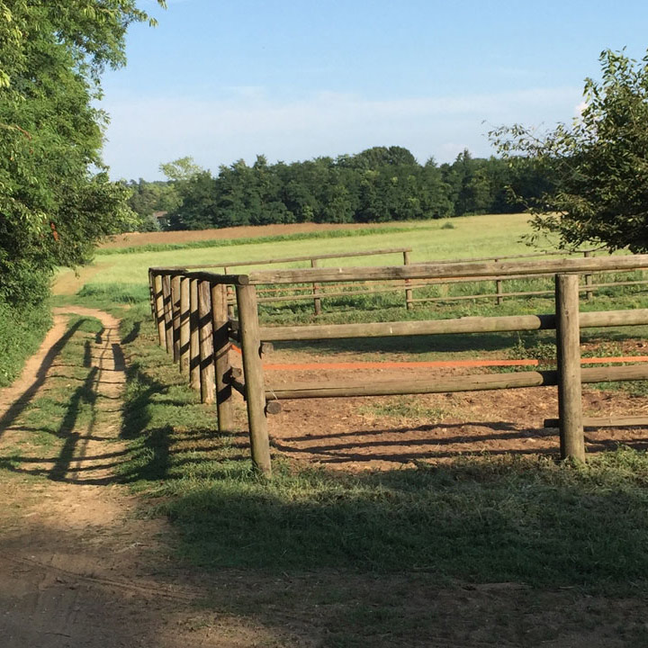 Trekking a cavallo per Montelago Experience
